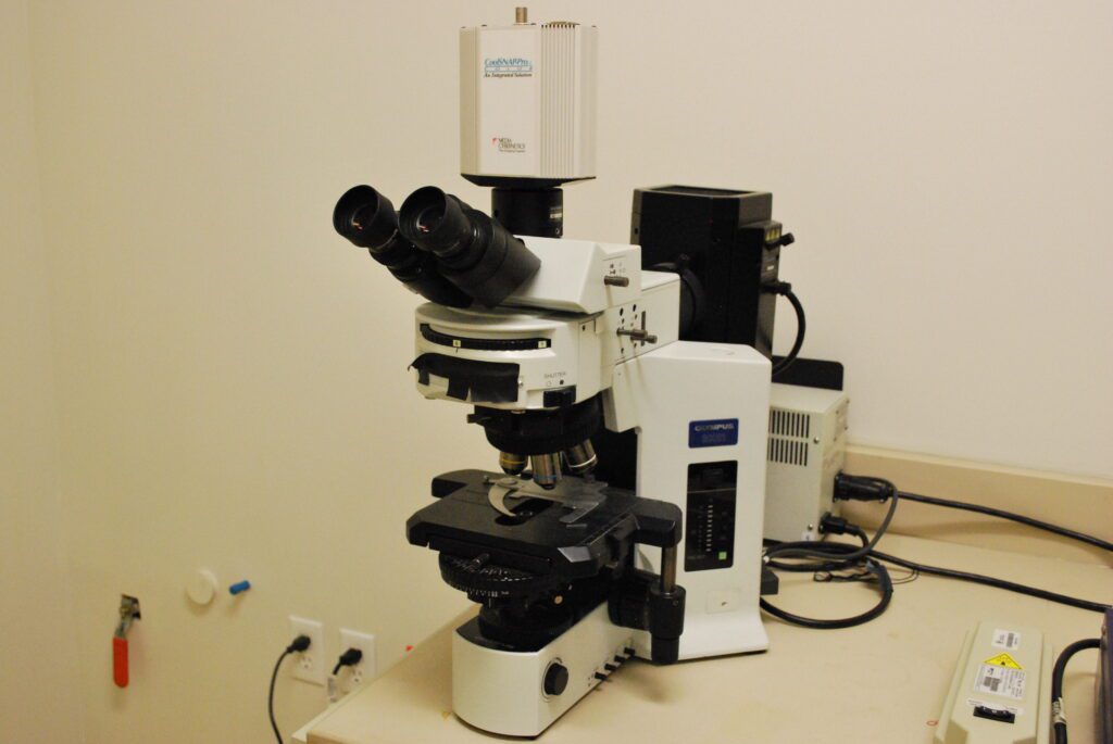 Microscopio Olympus BX51