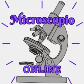 Microscopio Online